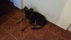 Прикачена снимка