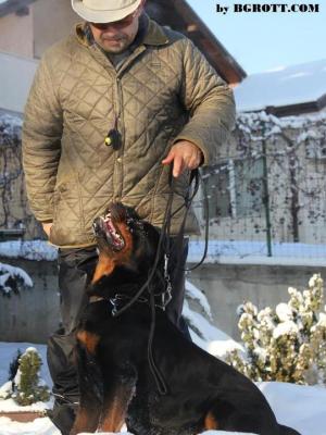 Прикачена снимка