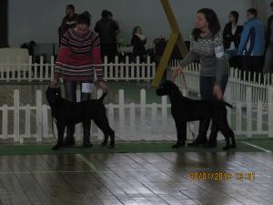 Прикачена снимка