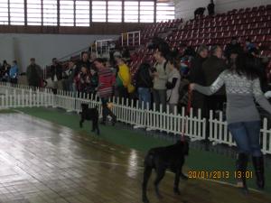 Прикачена снимка