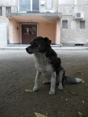Прикачена снимка