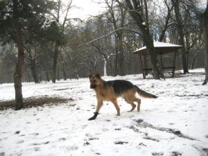 Прикачена снимка