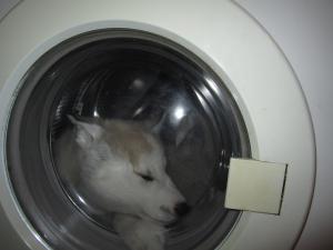 Прикачена снимка