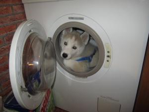 Прикачена снимка