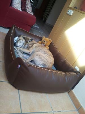 Прикачена снимка