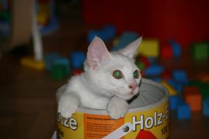 Прикачена снимка