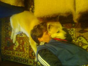 Прикачена снимка