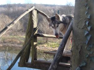 Прикачена снимка