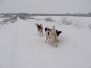 Прикачена снимка