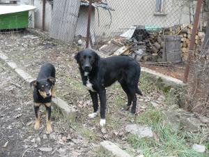 Прикачена снимка