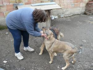 Прикачена снимка