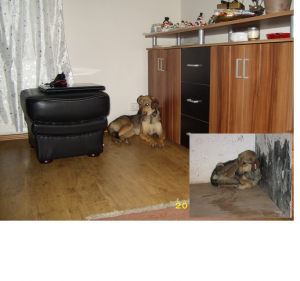 Прикачена снимка