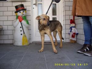 Прикачена снимка