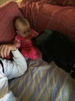 Прикачена снимка