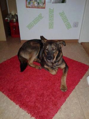 Прикачена снимка