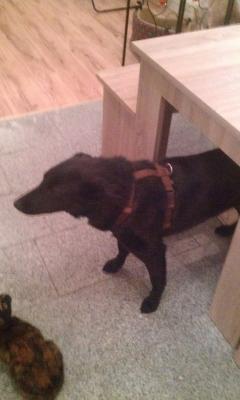 Прикачена снимка