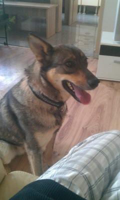 Прикачена снимка