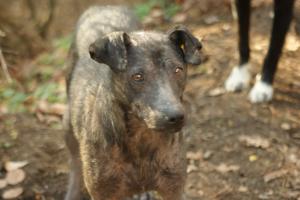 Прикачена снимка