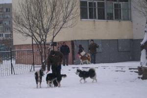 Прикачена снимка