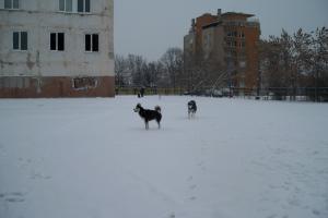 Прикачена снимка