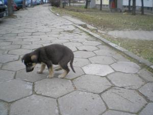 Прикачена снимка