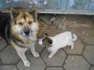 Прикачена снимка