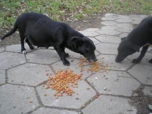 Прикачена снимка