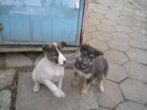 Прикачена снимка