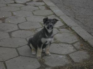 Прикачена снимка