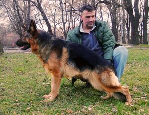 Прикачена снимка