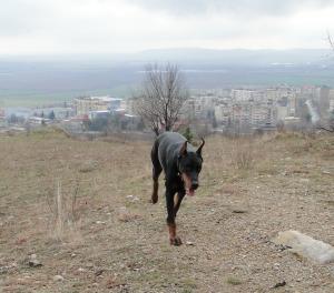 Прикачена снимка