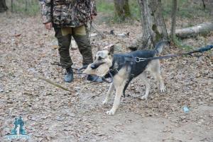 Прикачена снимка