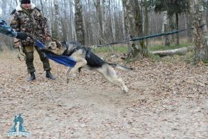 Прикачена снимка