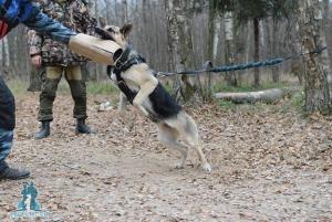 Прикачена снимка