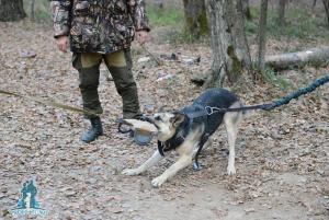 Прикачена снимка