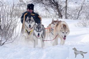 Прикачена снимка