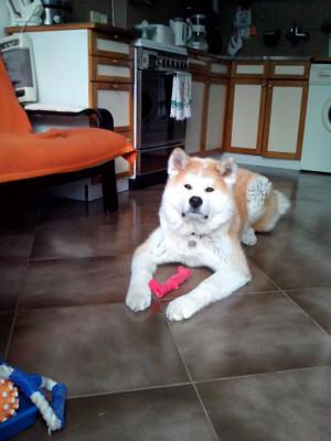 Прикачена снимка