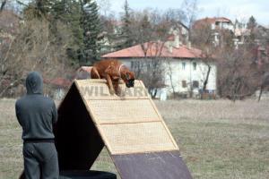 Прикачена снимка