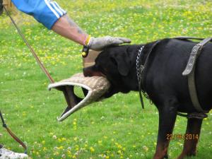 Прикачена снимка