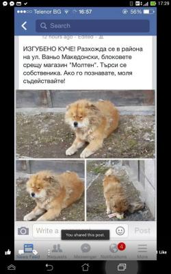 Прикачена снимка