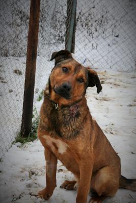 Прикачена снимка