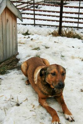 Прикачена снимка