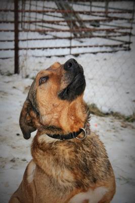 Прикачена снимка