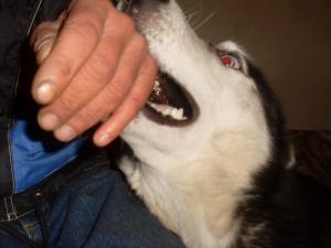 Прикачена снимка