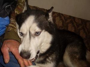 Прикачена снимка