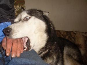 Прикачена снимка