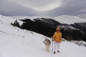 Прикачена снимка