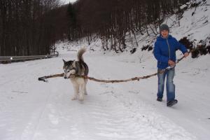 Прикачена снимка