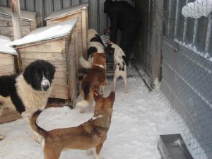Прикачена снимка