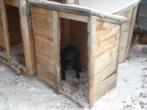 Прикачена снимка